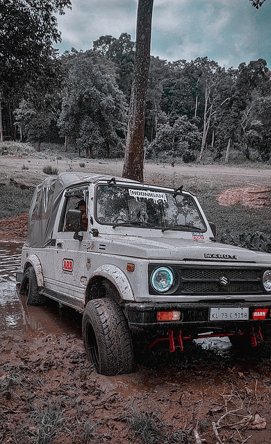 泰臣賽後解 泰臣賽後解