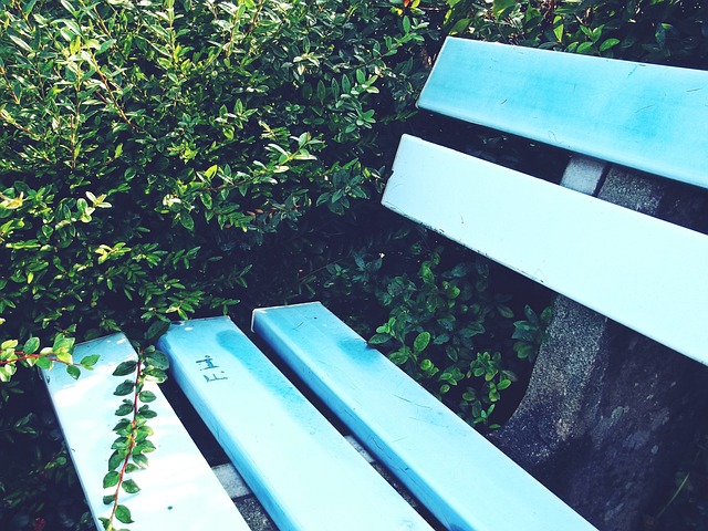 了多枚奖牌 了多枚奖牌