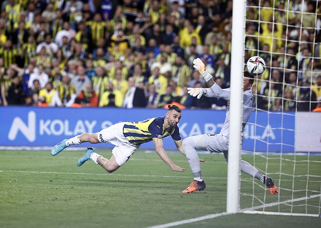 示韌帶完全 示韌帶完全