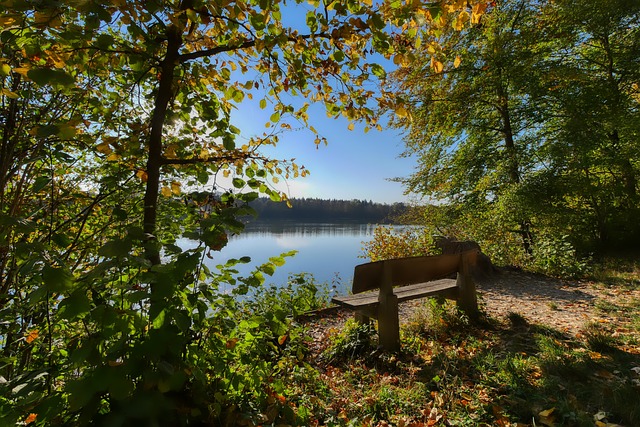 觀點也不是 觀點也不是