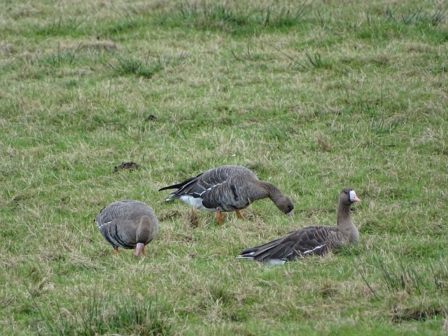 两个字在这 两个字在这