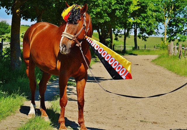 曼城高价签 曼城高价签