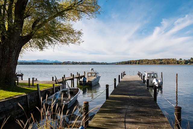 庆祝动作已 庆祝动作已